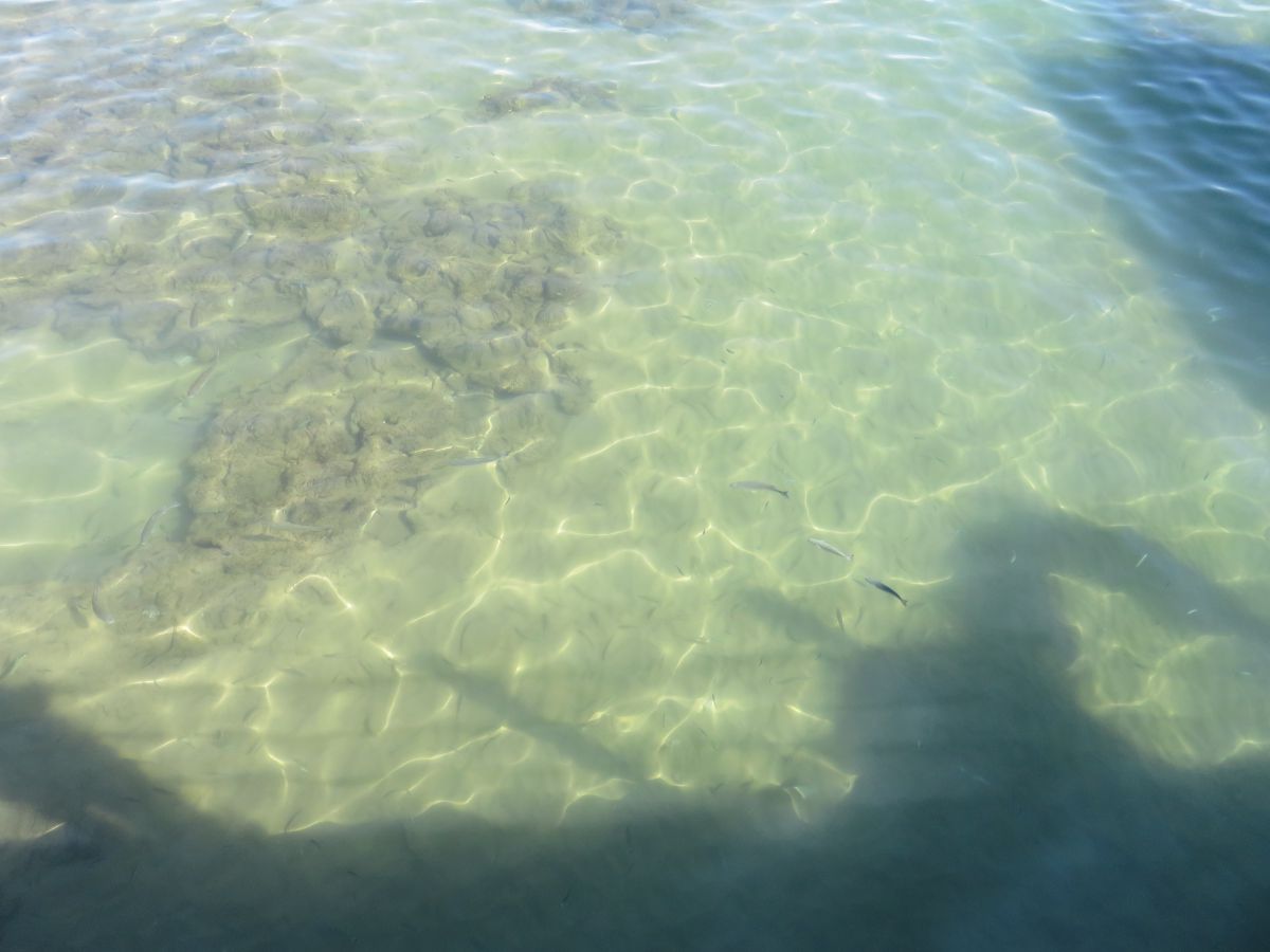 imagini hotel Von Elite